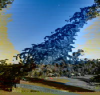 Tin Dragon Trail Cottages - Whitsundays Accommodation