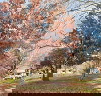 Tumbarumba Caravan Park - Whitsundays Accommodation