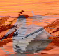 4 Pelican Court - River Shack Rentals - Whitsundays Accommodation