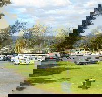 Berry Showground Camping - Whitsundays Accommodation