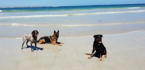 BIG4 Warrnambool Figtree Holiday Park - Whitsundays Accommodation 2