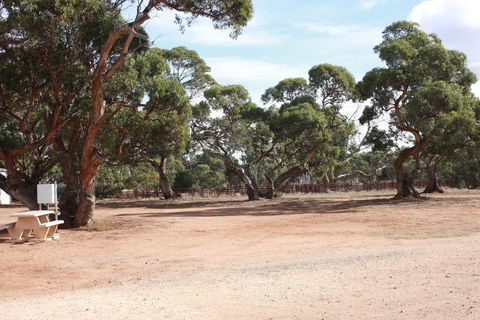 Cleve Showgrounds RV Park - Whitsundays Accommodation 1