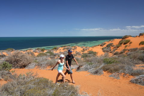 Herald Bight Camp At Francois Peron National Park - Whitsundays Accommodation 2