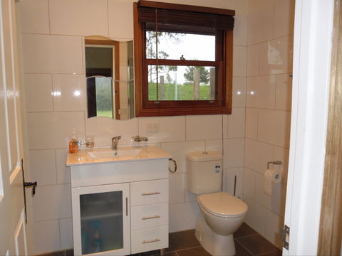 Highland Cattle Farm Stay - Whitsundays Accommodation 2