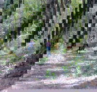 Honeymoon Pool - Gelcoat Camp at Wellington National Park - Whitsundays Accommodation