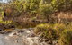 Jacobs River Campground - thumb 2