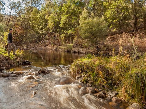 Jacobs River Campground - Whitsundays Accommodation 2