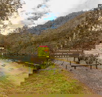 O'Hares campground - Whitsundays Accommodation