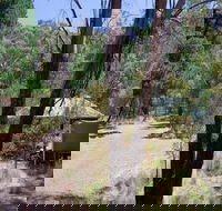 The Barracks campground - Whitsundays Accommodation