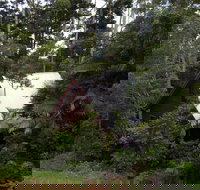 Turkeys Nest Rainforest Cottages Mt Glorious - Whitsundays Accommodation