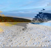 White Beach Tourist Park - Whitsundays Accommodation