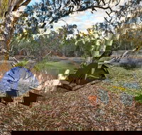 Woolpress Bend campground - Whitsundays Accommodation