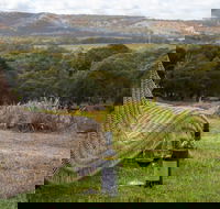 131 - Heart of the Vale - Whitsundays Accommodation