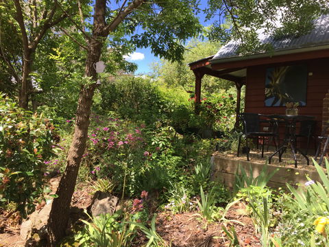 Artscape Cottage Beechworth - Whitsundays Accommodation 2