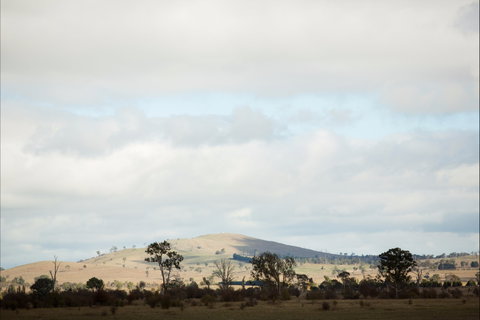 Aurelias Farm Bed And Breakfast - Whitsundays Accommodation 1