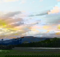 Back Forest Retreat - Whitsundays Accommodation