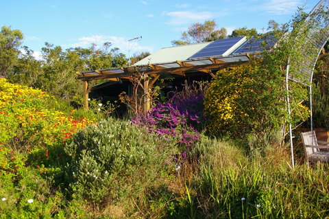 Back Forest Retreat - Whitsundays Accommodation 2