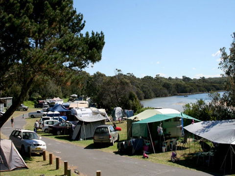 Congo Campground - Whitsundays Accommodation 0