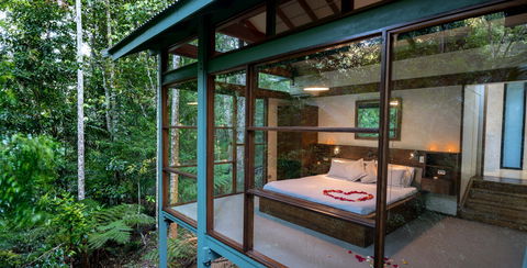Crystal Creek Rainforest Retreat - Whitsundays Accommodation 2
