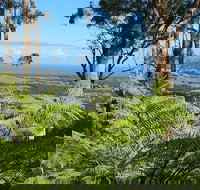 Escarpment - Whitsundays Accommodation