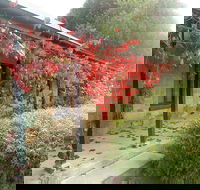 Ethel's Cottage - Whitsundays Accommodation