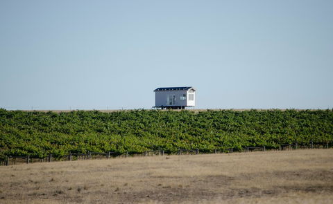Hounds Run Vineyard - Whitsundays Accommodation 0