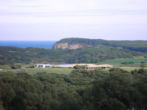 Kangaroobie - Whitsundays Accommodation 0
