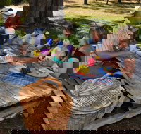 Naracoorte Caves Camping and Accomodation - Whitsundays Accommodation