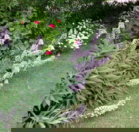 Padthaway Caravan Park - Whitsundays Accommodation