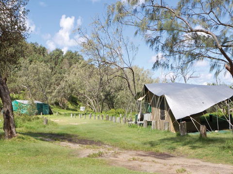 Pebbly Beach Campground - Yuraygir National Park - Whitsundays Accommodation 0