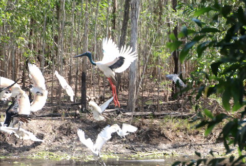 Rakhi Retreat - Whitsundays Accommodation 0