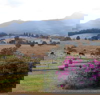 The Barn  House Farm Stay at Possum Manor - Whitsundays Accommodation