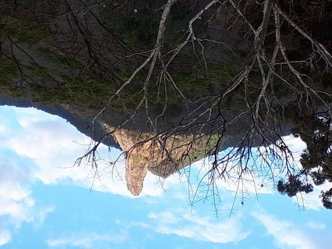 The Barn  House Farm Stay At Possum Manor - Whitsundays Accommodation 1