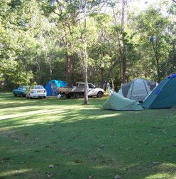 Broadwater Stopover Tourist Park - Whitsundays Accommodation 4