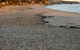 Beachhaven Bed & Breakfast - thumb 5