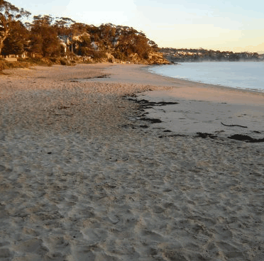 Beachhaven Bed & Breakfast - Whitsundays Accommodation 5
