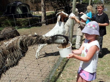 Bairnsdale Holiday Park - Whitsundays Accommodation 2