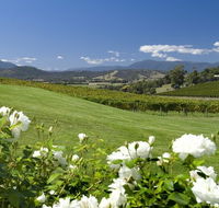 Balgownie Estate Vineyard Resort and Spa - Whitsundays Accommodation