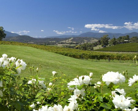 Balgownie Estate Vineyard Resort And Spa - Whitsundays Accommodation 0