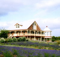 Serendipity Lavender Farm - Whitsundays Accommodation
