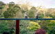 Mast Gully Gardens - thumb 0