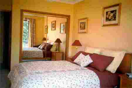Mast Gully Gardens - Whitsundays Accommodation 1