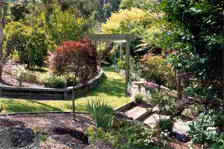 Mast Gully Gardens - Whitsundays Accommodation 2