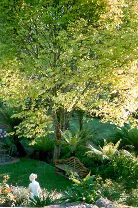 Mast Gully Gardens - Whitsundays Accommodation 4