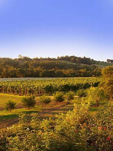 Wallace Heritage Homestead - Whitsundays Accommodation 5