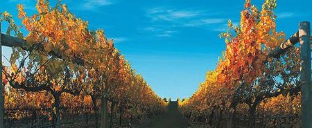 Nagambie Lakes Leisure Park - Whitsundays Accommodation 5