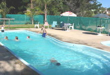 Lakes Entrance Tourist Park - Whitsundays Accommodation 4