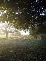 Corinella Country House - Whitsundays Accommodation 4