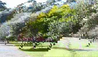 Otways Tourist Park - Whitsundays Accommodation 0
