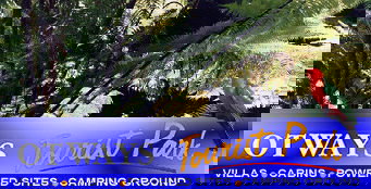 Otways Tourist Park - Whitsundays Accommodation 4